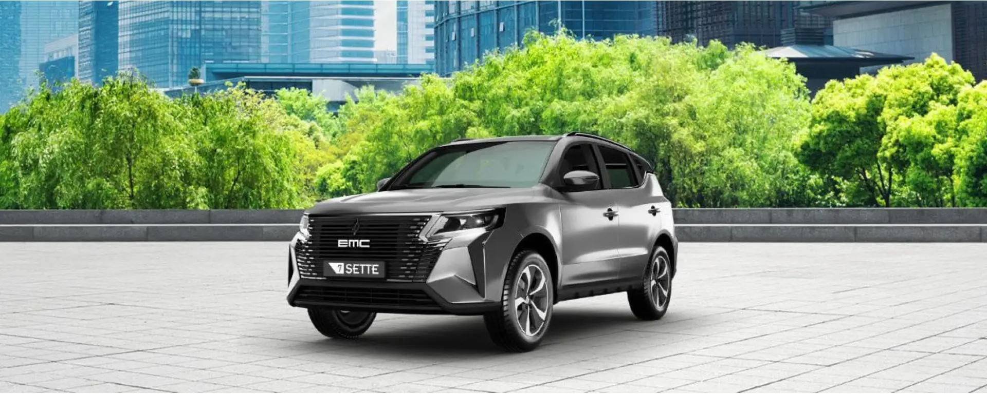 Immagine Promozione EMC 7