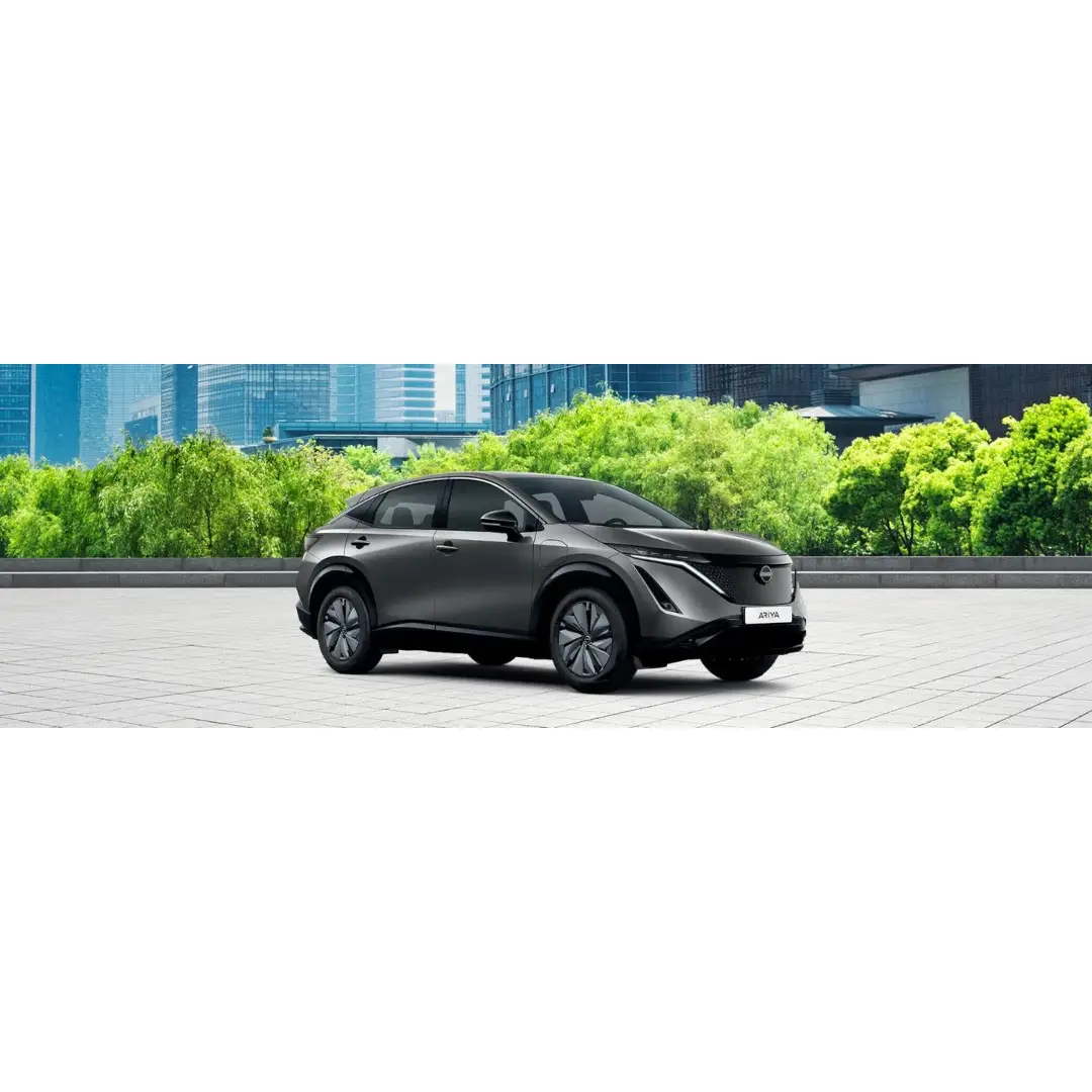 Immagine promozione NISSAN Ariya