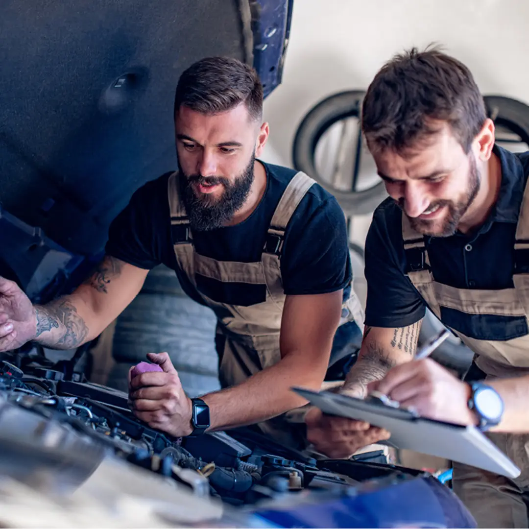 Immagine Rappresentativa Assicurazioni